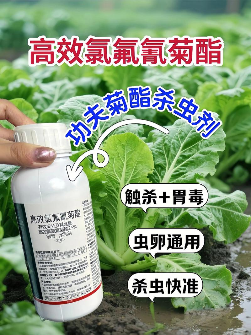 牡丹江代生中心:农药对供卵代生妈妈的危害